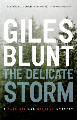 The delicate storm Book cover
