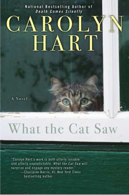 What the cat saw Book cover