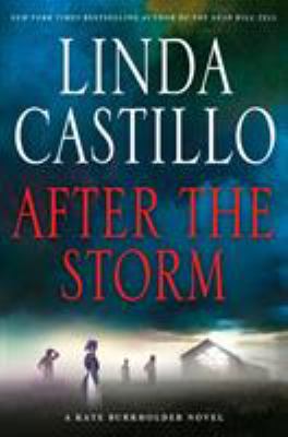 After the storm Book cover