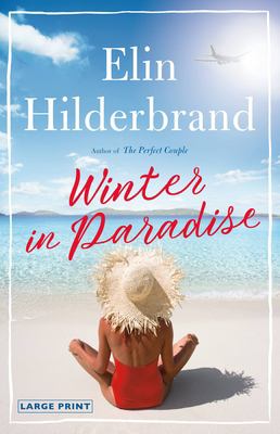 Winter in paradise : a novel Book cover
