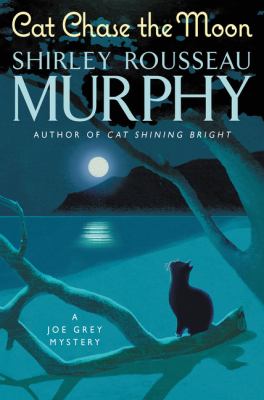 Cat chase the moon Book cover