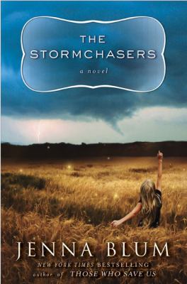 The stormchasers : a novel Book cover