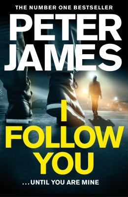 I follow you Book cover