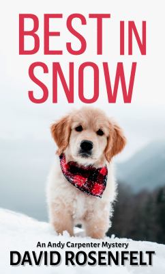 Best in snow Book cover