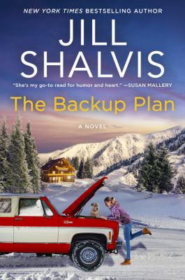 The backup plan : a novel Book cover