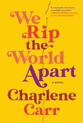 We rip the world apart : a novel Book cover